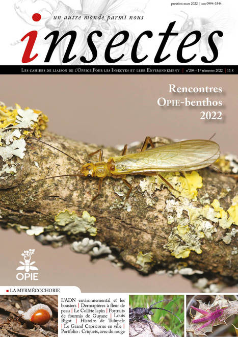 Insectes, 204 - 1er trimestre 2022 - Bulletin n° 204