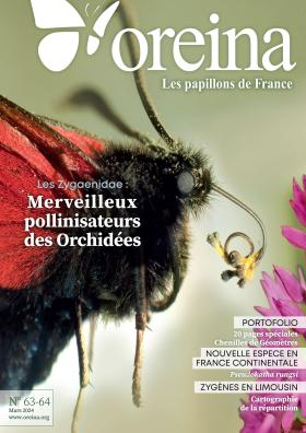 Oreina, 63 - Mars 2024 - Papillons de France