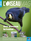 L'Oiseau magazine, 126 - Bulletin n°126
