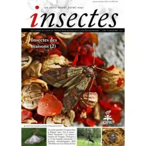 Insectes, 206 - 3ème trimestre 2022 - Bulletin n° 206