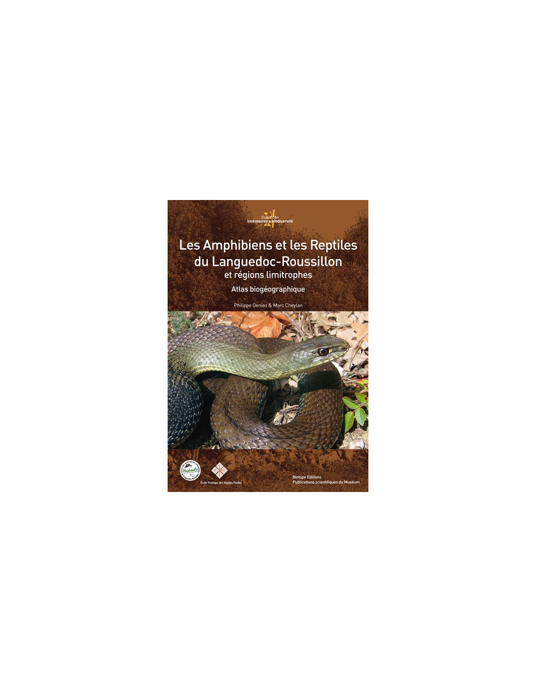 Les amphibiens et reptiles du Languedoc-Roussillon et régions limitrophes