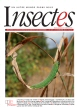 Insectes, 174 - Bulletin n°174