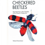 Checkered beetles