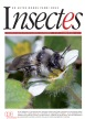 Insectes, 177 - Bulletin n°177