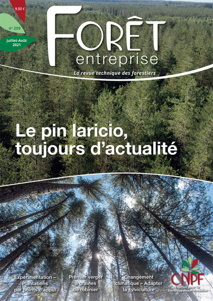 Forêt-entreprise, 259 - Juillet - août 2021 - Le pin laricio, toujours d’actualité