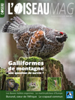 L'Oiseau magazine, 129 - Bulletin n°129