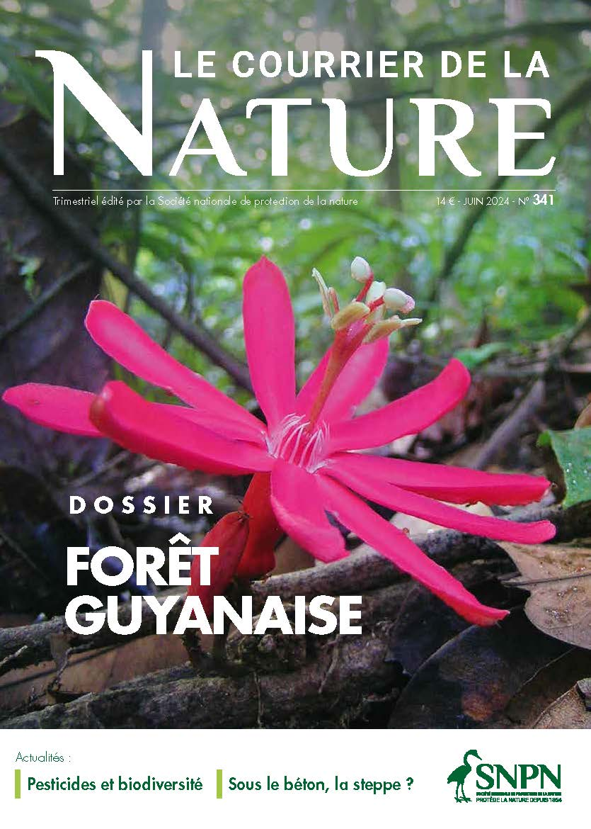 Le Courrier de la Nature, 341 - JUIN 2024 - Bulletin n°341 - Forêt Guyanaise